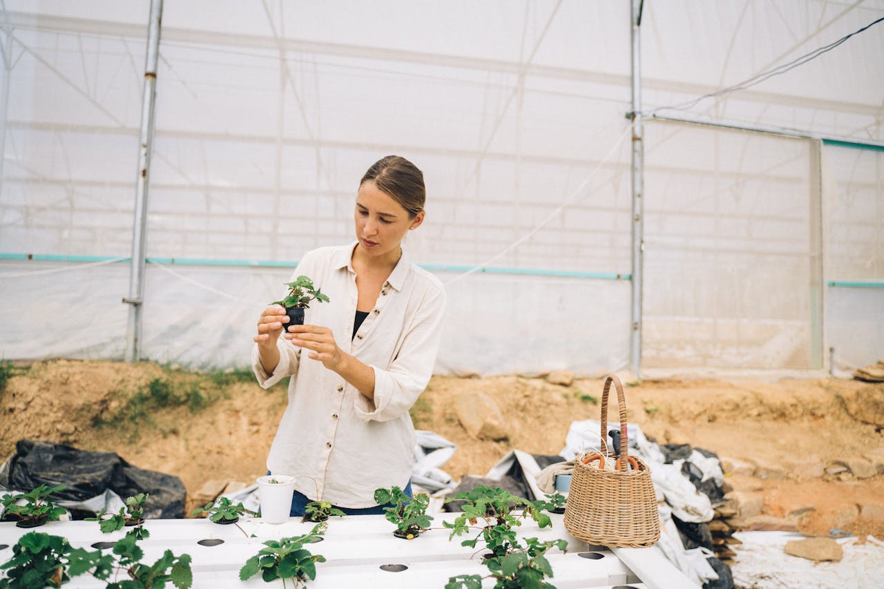 A woman examines a plant in an indoor hydroponic farm, wearing a white shirt with a woven basket nearby.