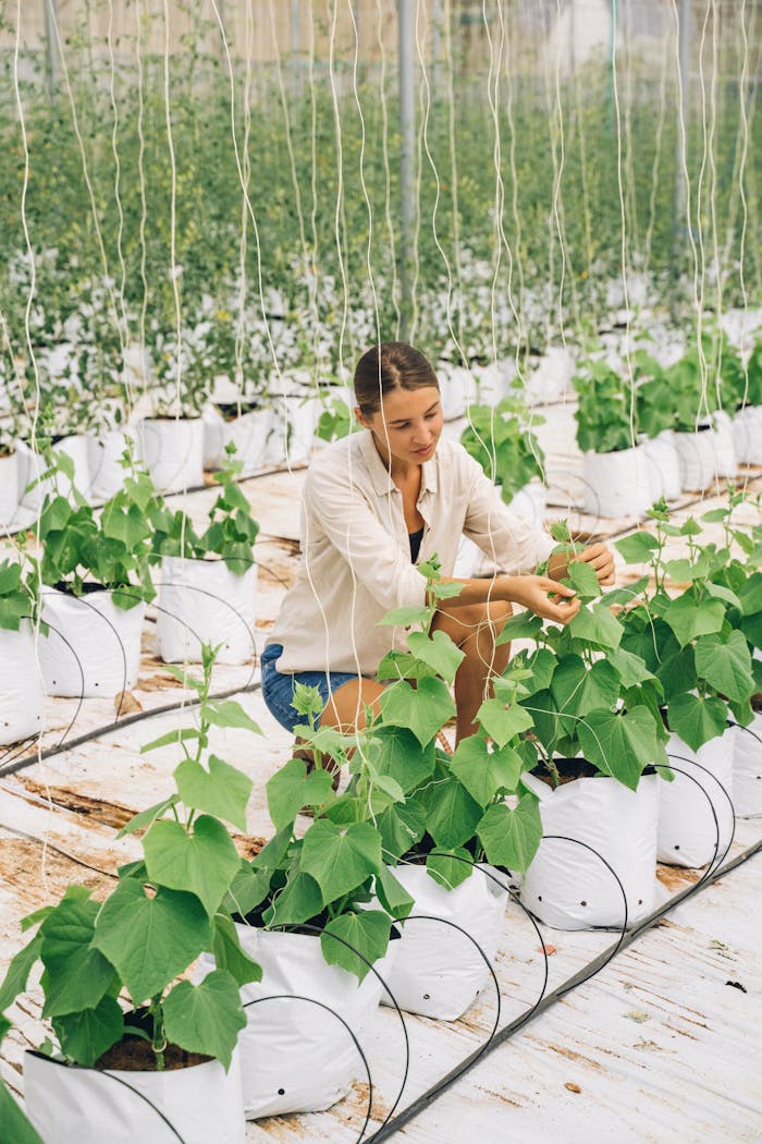 A woman carefully tending to plants in a well-lit indoor greenhouse, focusing on maintenance.